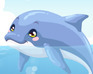 play Dolphin Care