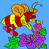 play Bee Honey Collects Coloring