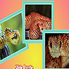 play Red Desert Snakes Puzzle