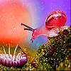 play Pink Snail In Garden Slide Puzzle