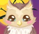 play Owl Care