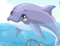 play Dolphin Care