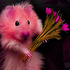 play Funny Rodents Puzzle