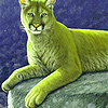 play Big Cat On The Stone Puzzle