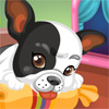 play Happy Dog Coloring