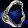 play Sharks Jigsaw