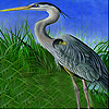 play Heron In The Reeds Slide Puzzle