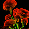 play Red Mushrooms Puzzle