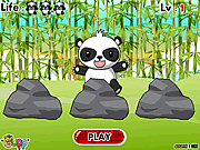 play Find The Panda