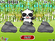 Find The Panda