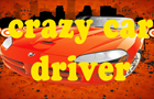 play Crazy Car Driver