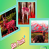 play Savage Deers Puzzle