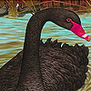 play Black Beauty Slide Puzzle