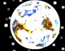 play Alien Shooter 2000