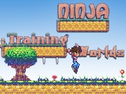 play Ninja Training Worlds