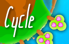 play Cycle