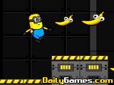 play Search Papoy