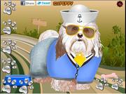 play Havanese Dog Dressup