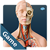 play Anatomicus Anatomy