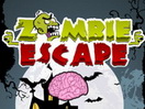 play Zombie Escape