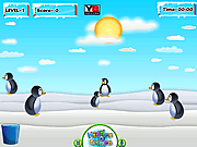 play Penguin Turnout