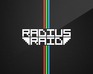play Radius Raid