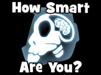 play How Smart Are You