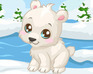 play Polar Bear Care