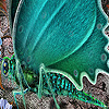 Green Garden Butterfly Slide Puzzle