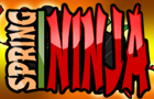 play Spring Ninja