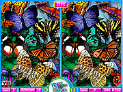 play Butterflies Spot The Difference