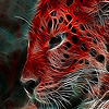 play Wild Red Tiger Puzzle