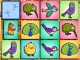 play Birds Memo