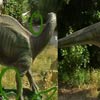 play Differences In Dinoland