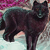 play Black Jungle Wolves Puzzle