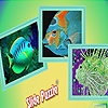 play Interesting Ocean Fishes Puzzle