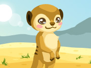 play Meerkat Care