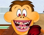 play Animal Dentist