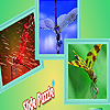 play Dragonfly In The Garden Puzzle