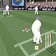 play Cricket Challenge