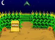 play Hooda Escape Corn Maze