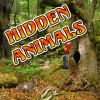 play Hidden Animals