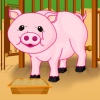 play Baby Piggy Care