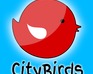 play City Birds