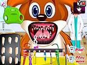 play Animal Dentist