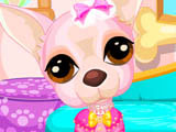 play Cute Chihuahua Caring