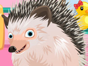play Cute Hedgehog Kissing