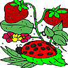 play Strawberry Garden Coloring