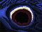 play The Last Door: Chapter Two