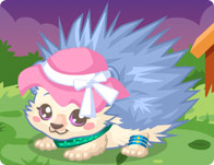 play Hedgehog Care